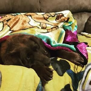 Meet your Posher, Marissa